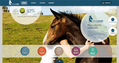 Desktop Screenshot of cheval-assur.com